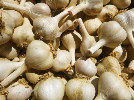 How I Overcome My Biggest Challenge to Using Fresh Garlic