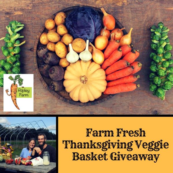 How To Win A Farm Fresh Thanksgiving Veggie Basket