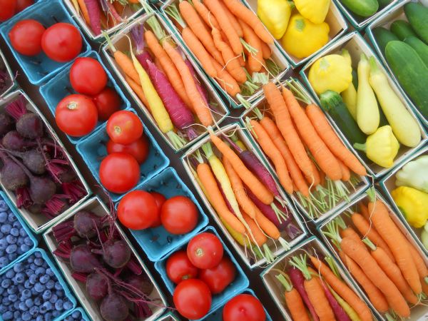 How To Grow A Great Organic Garden