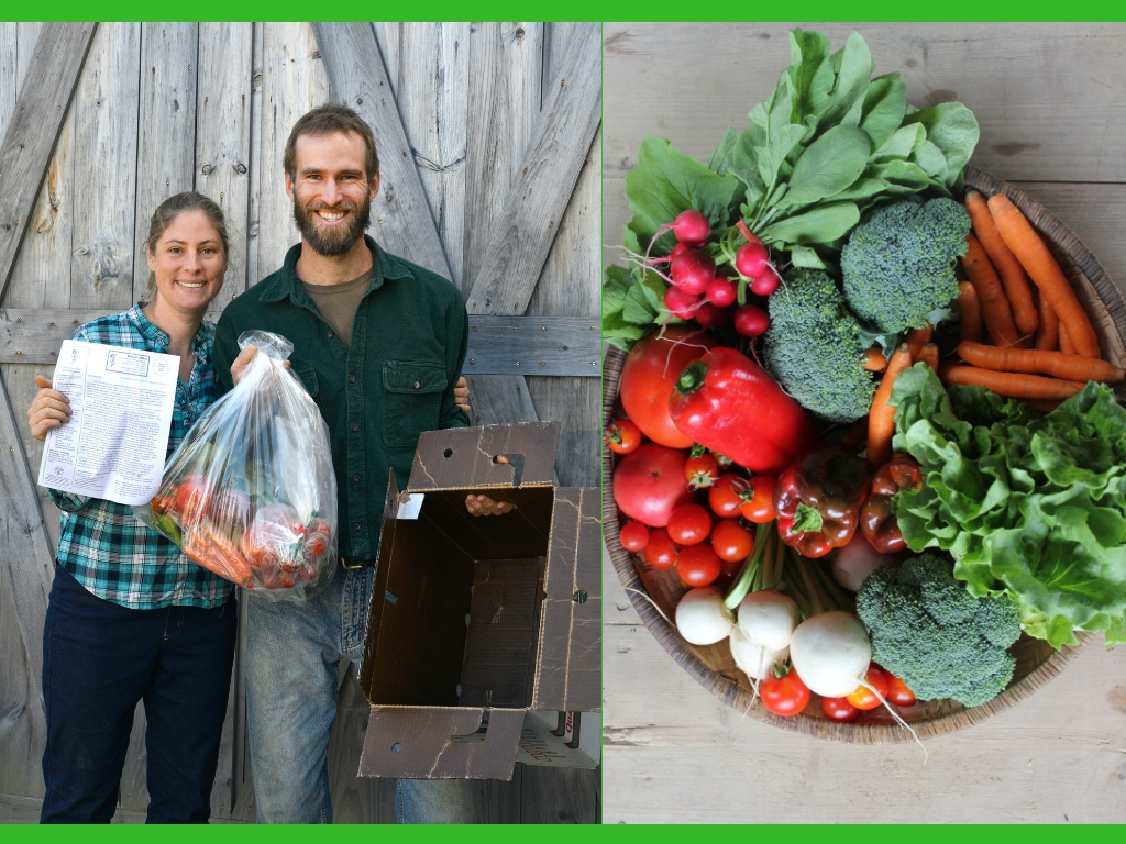 What Is CSA And How It Can Help You, Especially Now