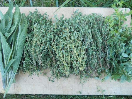 How To Use More Fresh Herbs In Your Kitchen