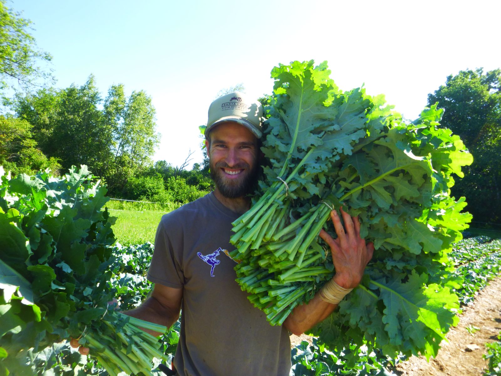 5 Easy Ways to Get More Greens in Your Diet