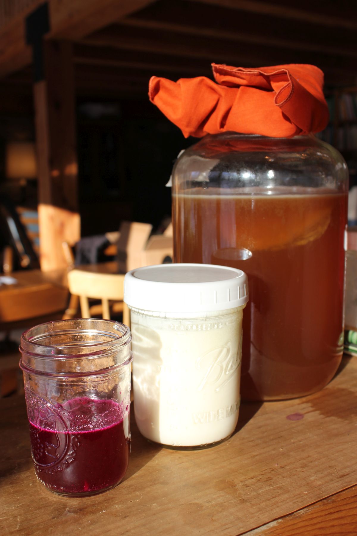 Just Curious, What Are Kombucha, Kvass, and Kefir?