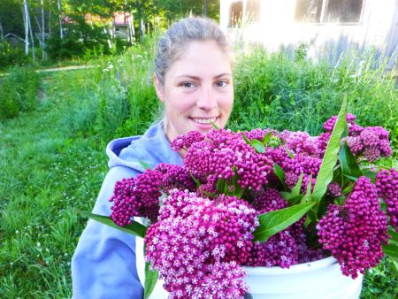 Want To Plant More Flowers In Your Garden This Year?