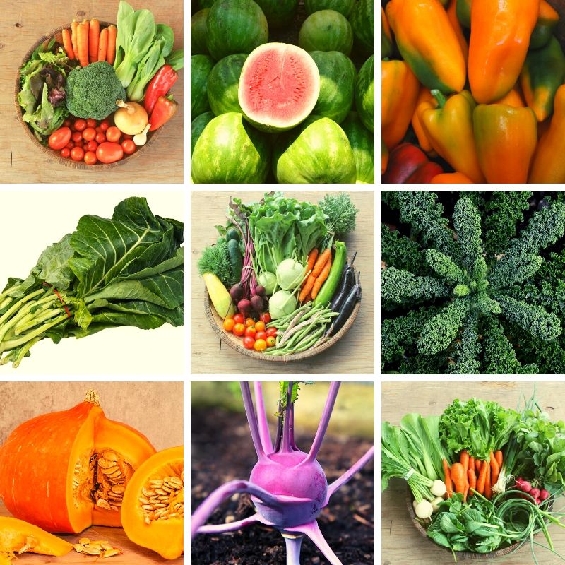 What New Things Will You Try This Year?
