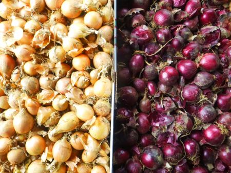 How I Use This Vegetable in Almost Every Meal I Cook