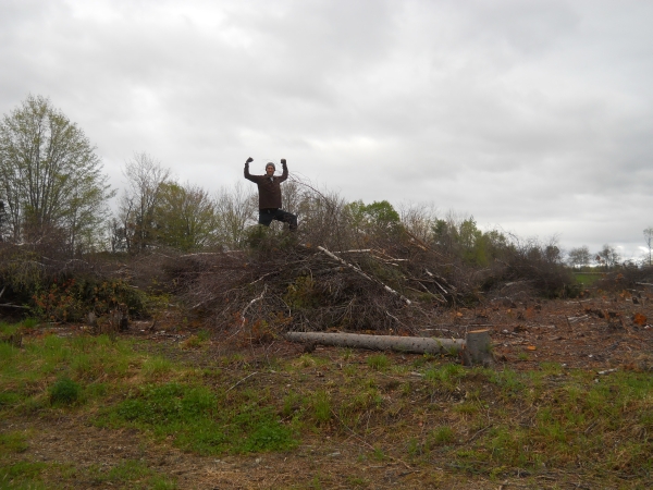Reclaiming Ripley Farm