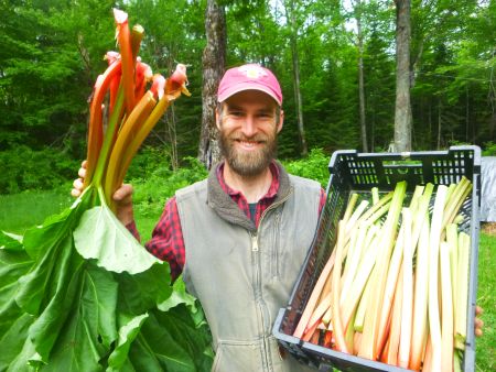 Fun New Rhubarb Recipes to Help You Go Beyond Pie