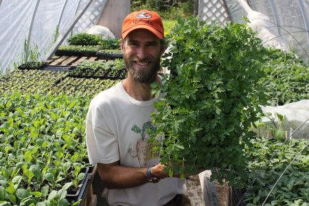 How to Start Your Own Seeds