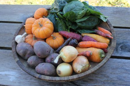 Want To Know What Our Veggies Look Like During The Winter?
