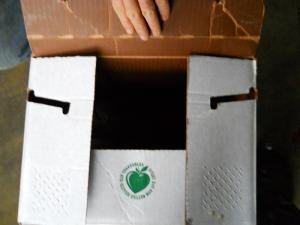 Box Slideshow 5