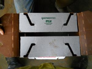Box Slideshow 9