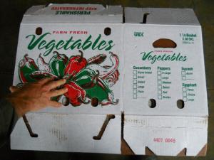 Box Slideshow 11