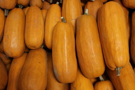 How to Cook a Fresh Pie Pumpkin For a Pie and So Much More