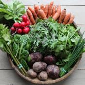What is in the Spring CSA?