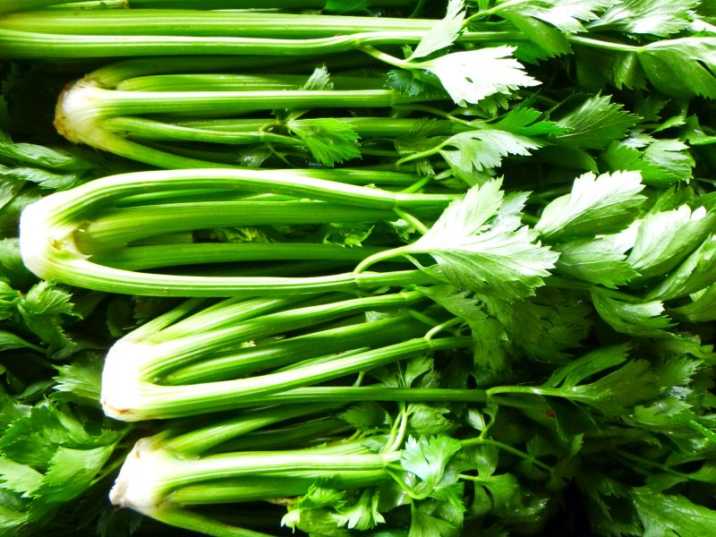 Celery