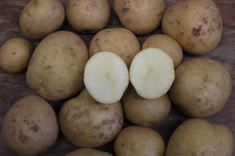 Potatoes – Eva (white flesh)