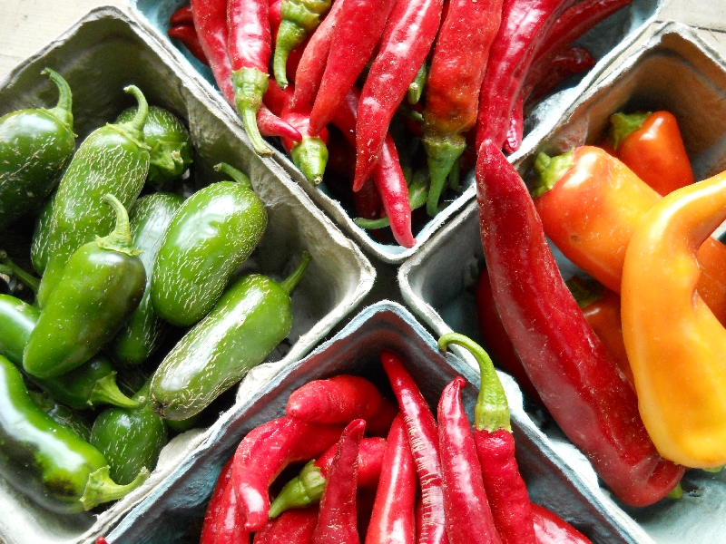 Hot Peppers