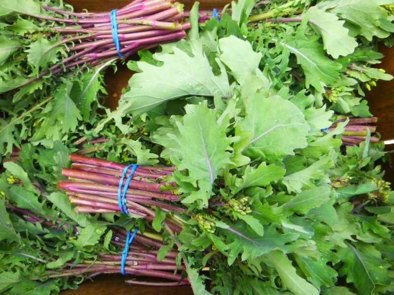Kale-ini