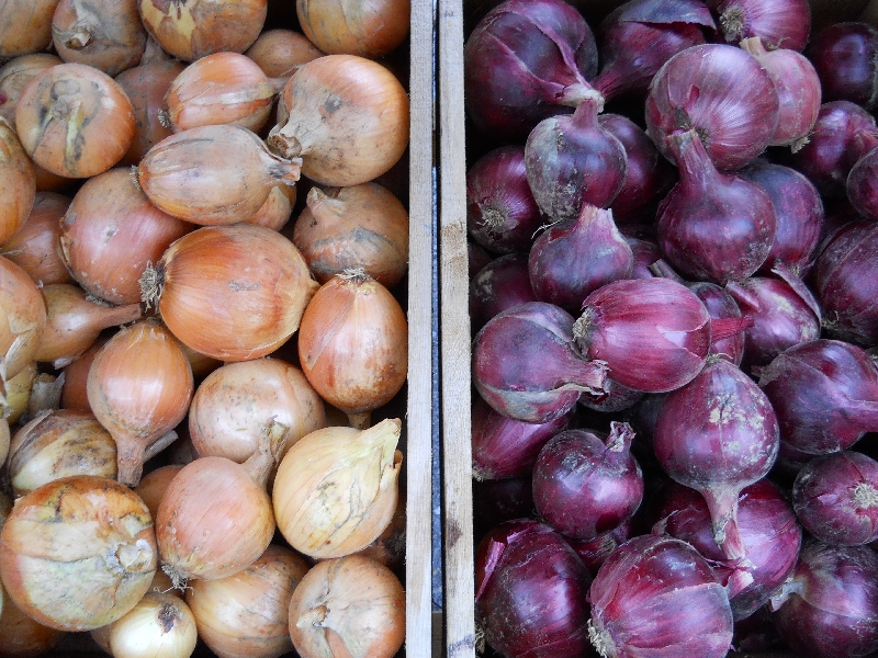 Onions