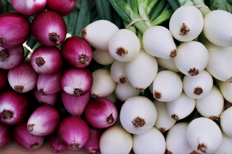 Fresh Onions