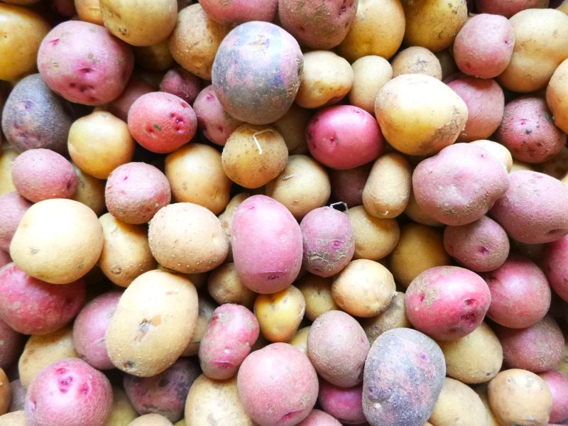 Potatoes, mini – mixed varieties