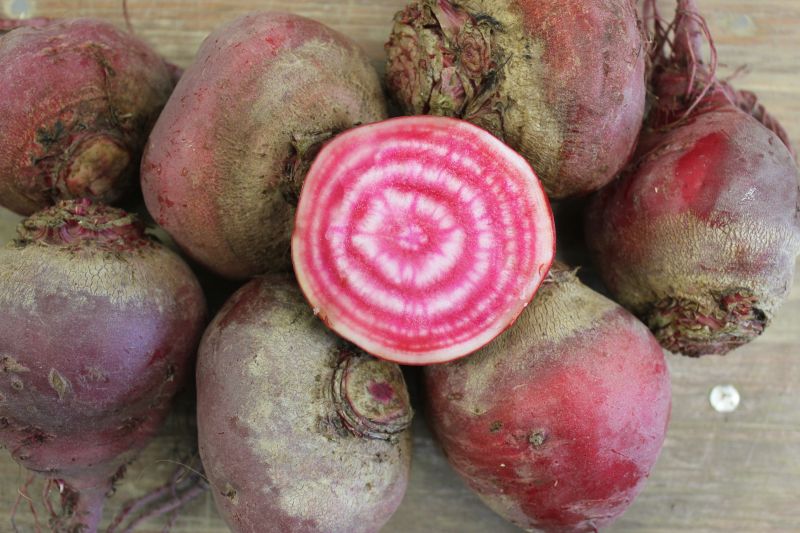 Beets – Chioggia