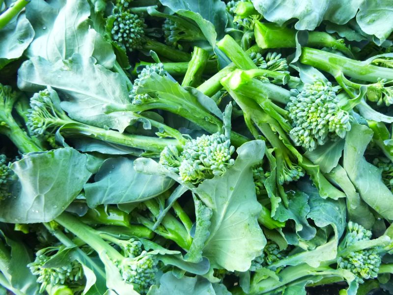 Broccolini